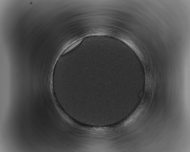 X0000094910850200712061047