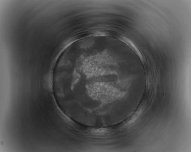 X0000094910851200712061047