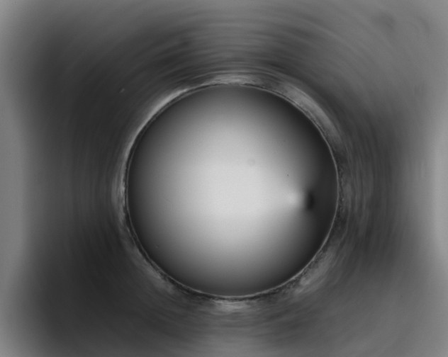 X0000094910852200712061047
