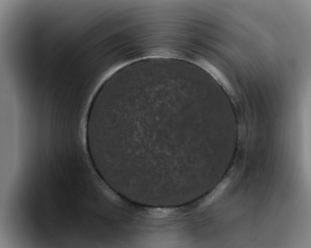 X0000094910854200712061047