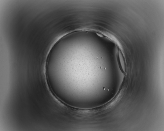 X0000094910855200712061047