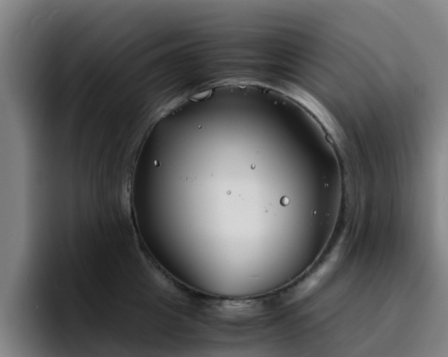 X0000094910857200712061047