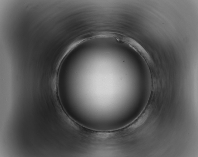 X0000094910860200712061047