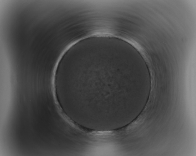 X0000094910864200712061047