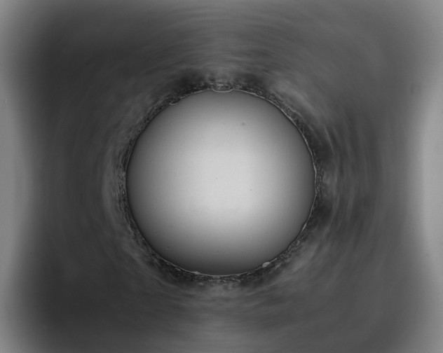 X0000094910865200712061047