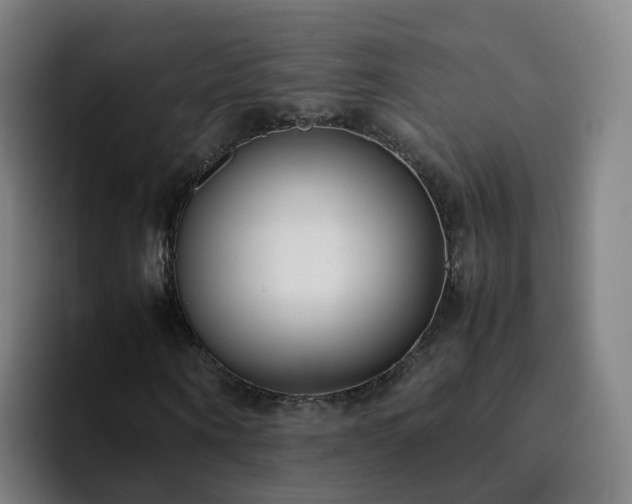 X0000094910866200712061047