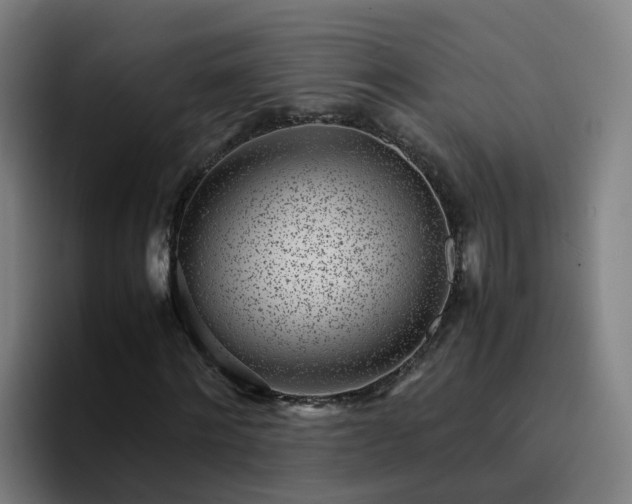 X0000094910868200712061047
