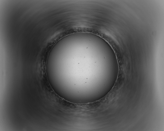 X0000094910870200712061047