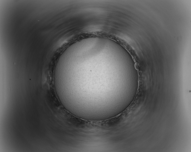 X0000094910871200712061047