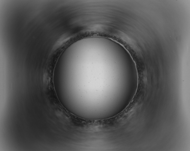 X0000094910872200712061047