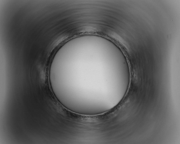 X0000094910874200712061047