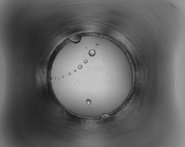X0000094910875200712061047