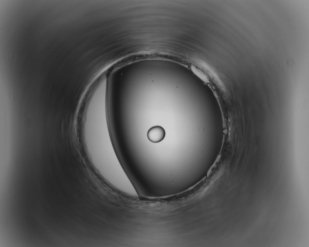 X0000094910876200712061047