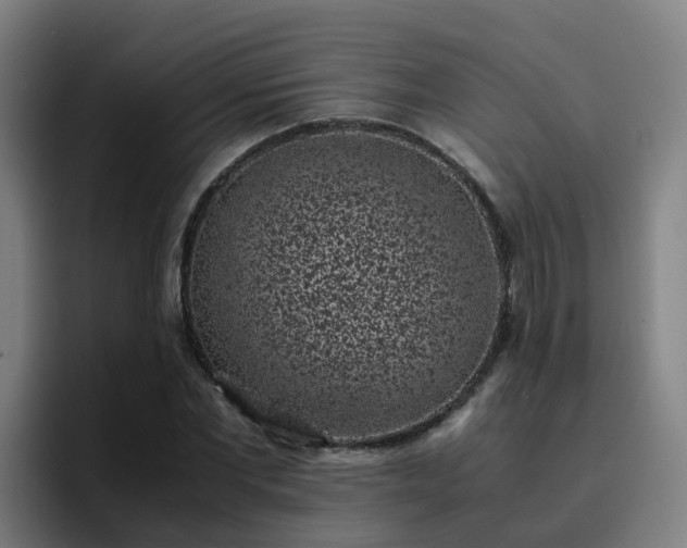 X0000094910877200712061046