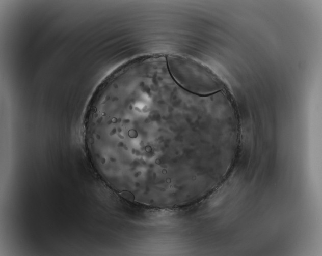 X0000094910879200712061046