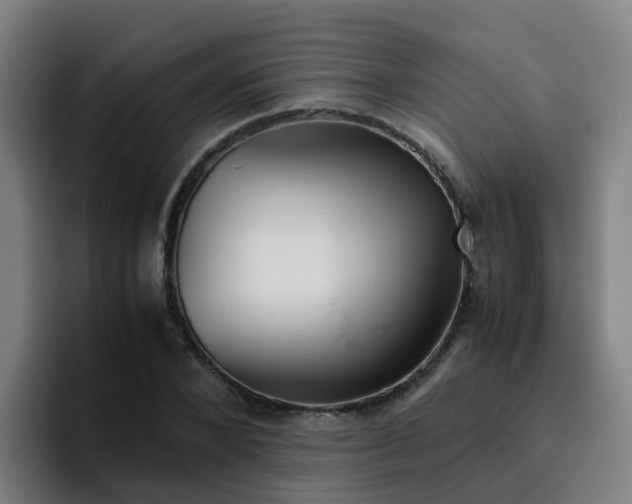 X0000094910880200712061046