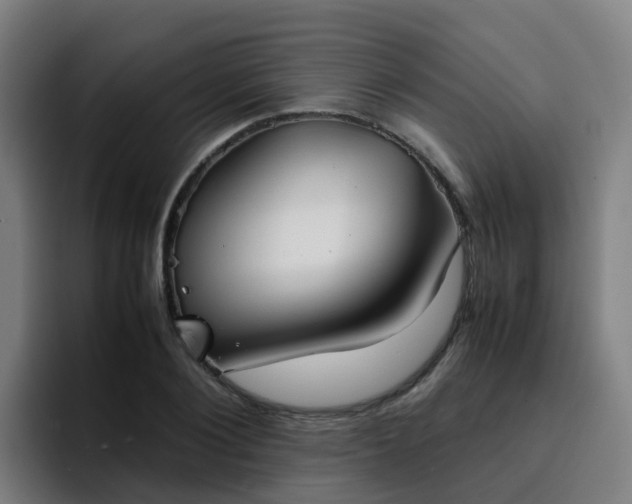 X0000094910884200712061046