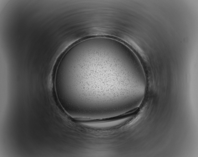 X0000094910885200712061046