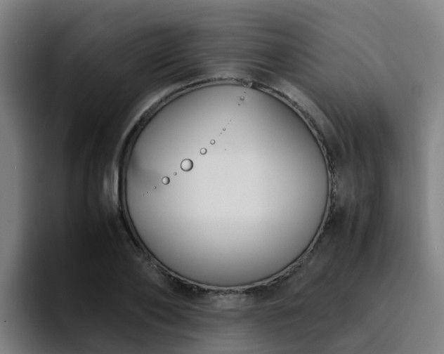 X0000094910886200712061046