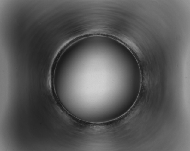 X0000094910888200712061046