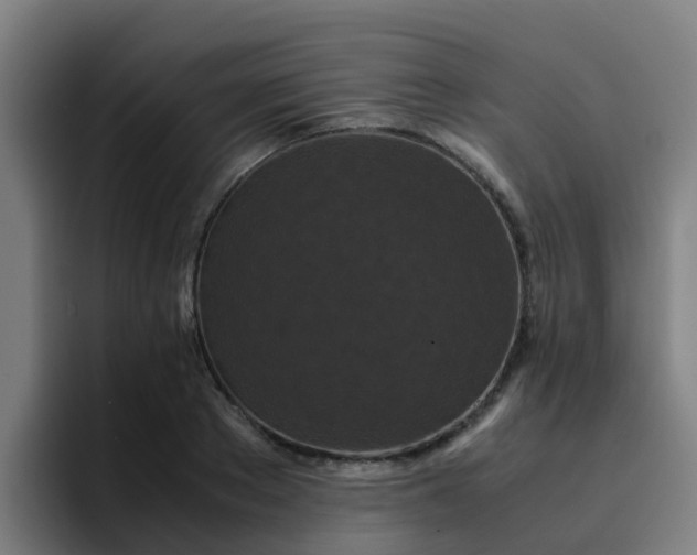 X0000094910889200712061046