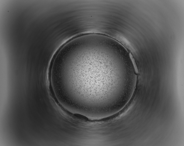 X0000094910892200712061046