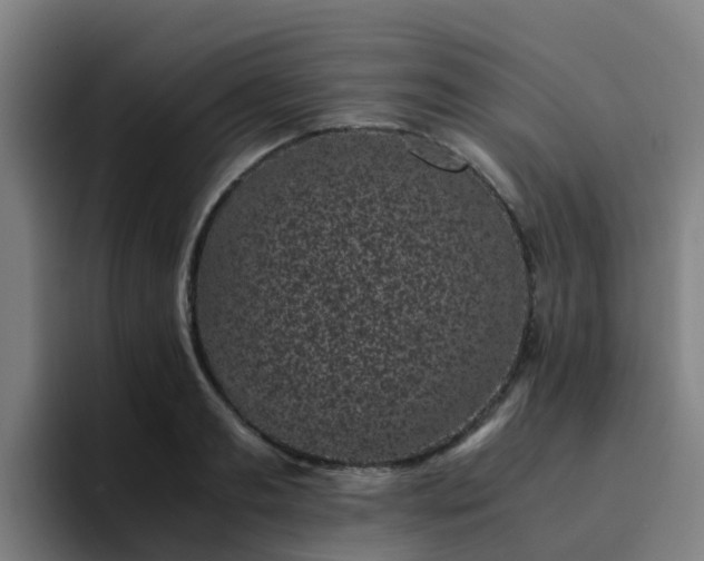 X0000094910893200712061046
