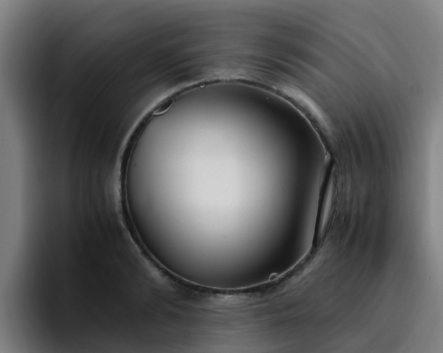 X0000094910894200712061046