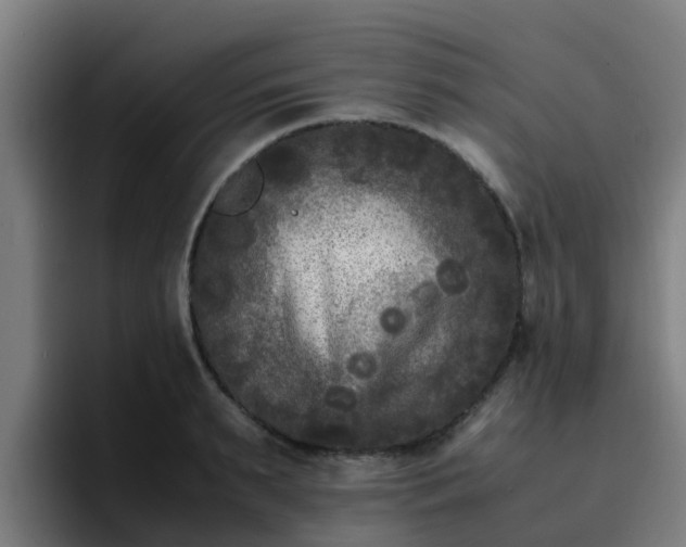 X0000094910895200712061046