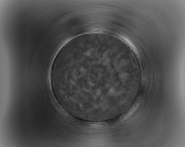 X0000094910899200712061046