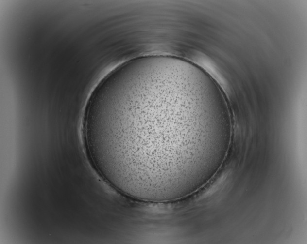 X0000094910901200712061046