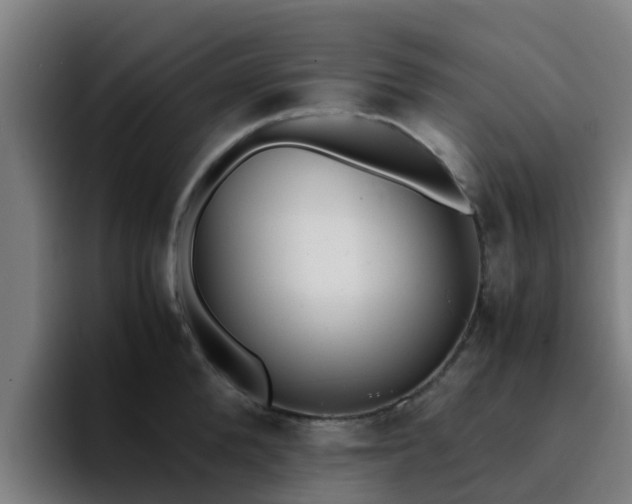 X0000094910904200712061046