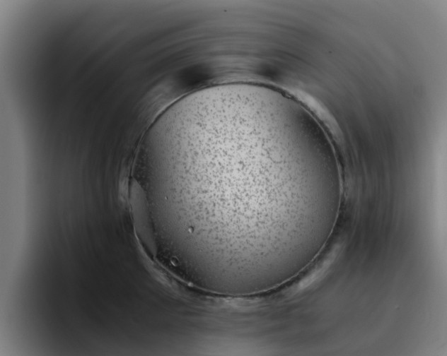 X0000094910905200712061046
