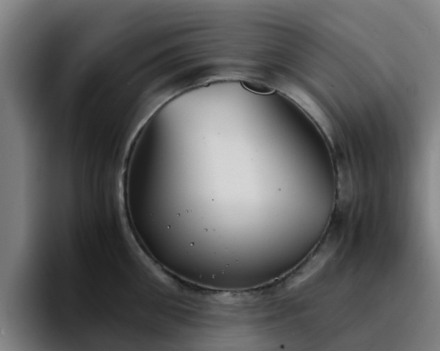 X0000094910906200712061046