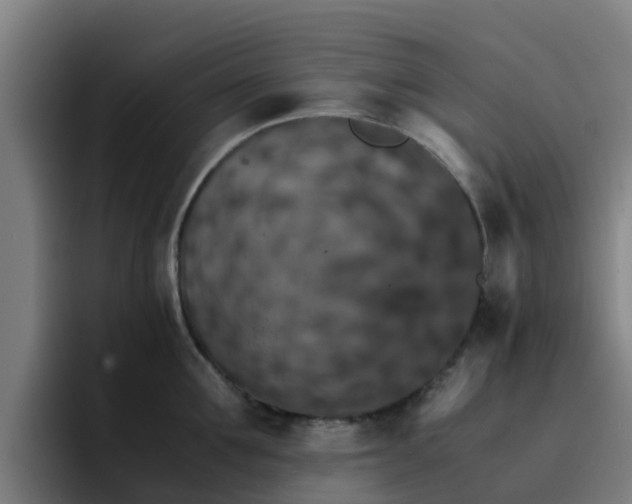 X0000094910907200712061046