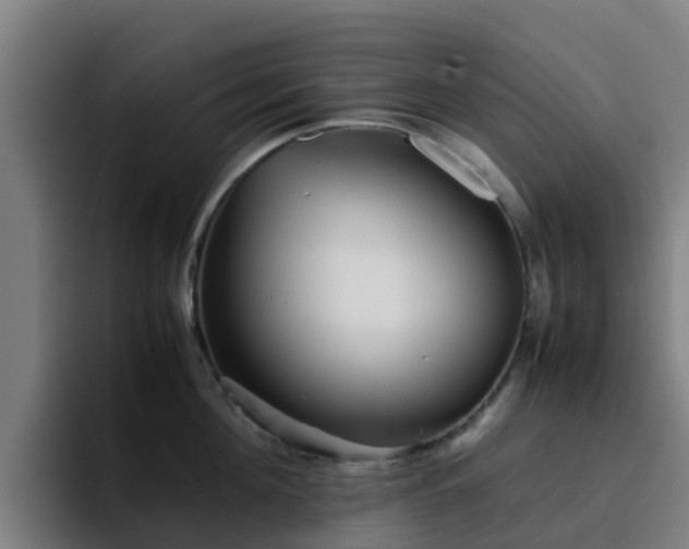 X0000094910908200712061046