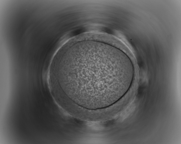 X0000094910909200712061046