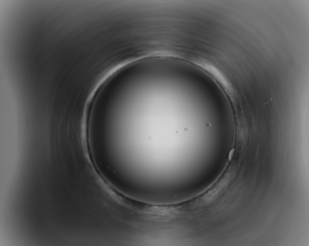 X0000094910910200712061046