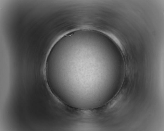 X0000094910911200712061046