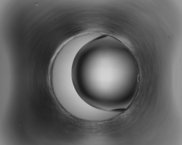 X0000094910912200712061046