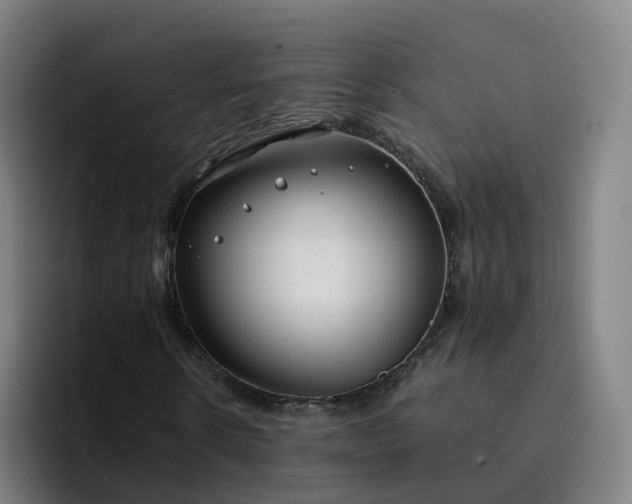 X0000094910914200712061045