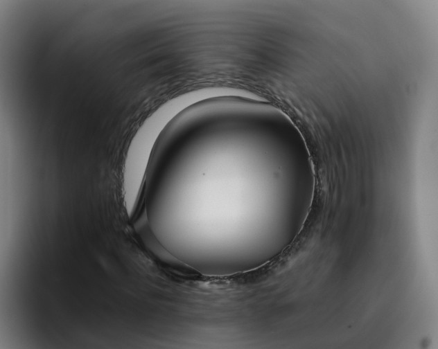 X0000094910916200712061045