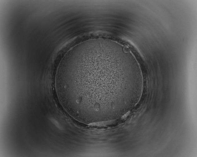 X0000094910919200712061045