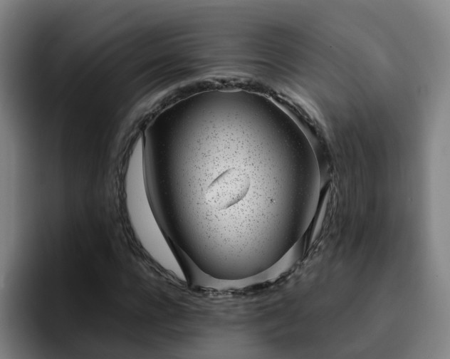 X0000094910920200712061045