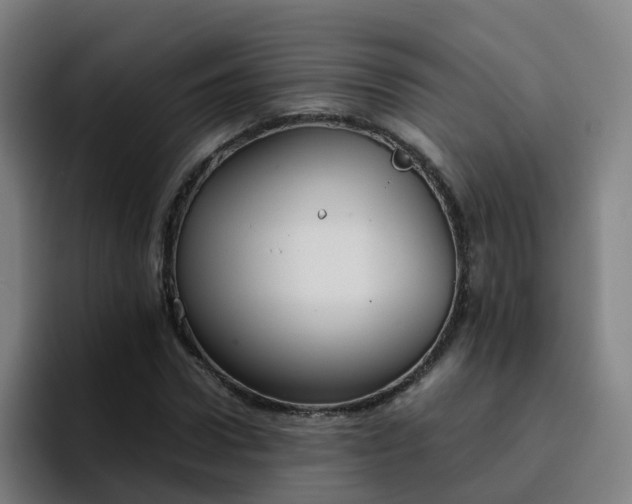 X0000094910922200712061046