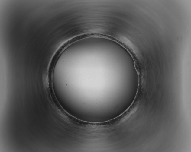 X0000094910924200712061046