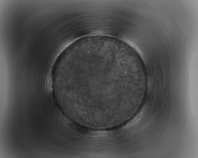 X0000094910925200712061046