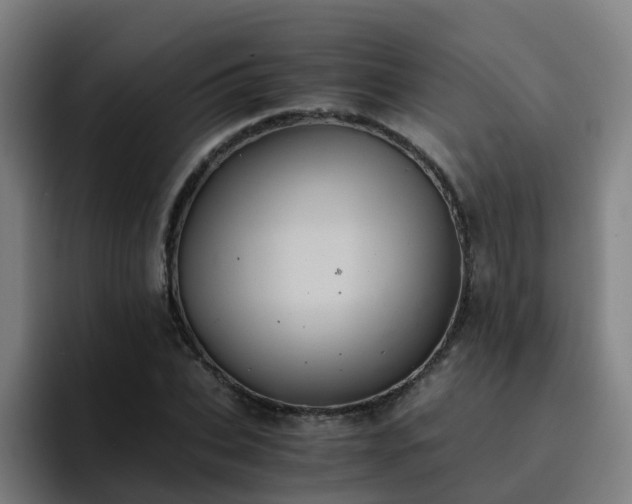 X0000094910927200712061046