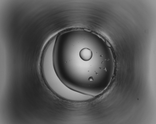 X0000094910928200712061046