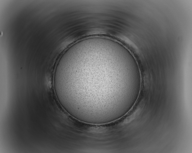 X0000094910929200712061046